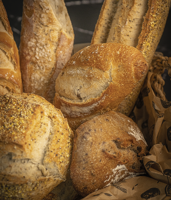 História Pão Dourado – Pão Dourado